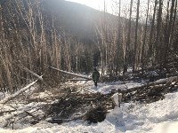 Сахалинские экологи выявили масштабную рубку леса на горе Большевик, Фото: 5