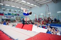 В Южно-Сахалинске состоялись соревнования по спортивной гимнастике, Фото: 5