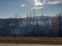 Пал травы перерос в большой природный пожар в окрестностях Березняков, Фото: 6