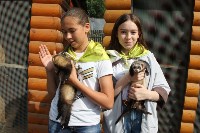 Волонтеры помогают Сахалинскому зоопарку ухаживать за животными, Фото: 3