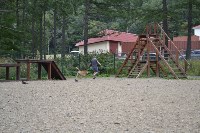 В рамках выставки беспородных собак в Южно-Сахалинске 8 питомцев обрели хозяев, Фото: 286