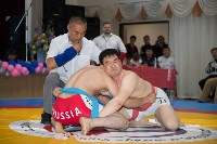 Сахалинцы определили сильнейших на фестивале корейской борьбы ссирым, Фото: 3