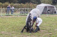 Соревнования по адаптивному конному спорту прошли в Южно-Сахалинске, Фото: 3