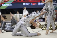 Художественная гимнастика, Фото: 8