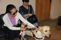 В южно-сахалинской поликлинике впервые появился пациент с собакой-поводырем, Фото: 4