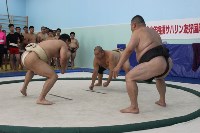 Впервые в истории на Сахалине прошел турнир по борьбе сумо, Фото: 5
