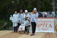 В рамках выставки беспородных собак в Южно-Сахалинске 8 питомцев обрели хозяев, Фото: 157