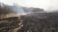Около двух часов пожарные тушили горящую траву на поле в Дальнем, Фото: 7