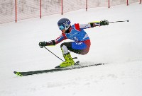 Борьба за кубки области и федерации горнолыжного спорта и сноуборда , Фото: 5