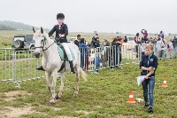 Соревнования по адаптивному конному спорту прошли в Южно-Сахалинске, Фото: 8