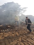 Из-за любителей шашлыка в Корсаковском районе вспыхнул лес, Фото: 2