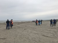 Возле Песчанского добровольцы прибрались на берегу моря, Фото: 1