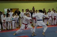 Командные соревнования по каратэ прошли в Холмске, Фото: 8