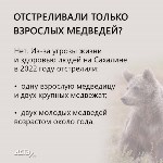 Охотоведы рассказали, сколько человек погибли от лап медведей на Сахалине в 2022 году, Фото: 8