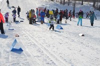 Соревнования по лыжным гонкам, Фото: 7