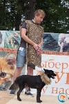В рамках выставки беспородных собак в Южно-Сахалинске 8 питомцев обрели хозяев, Фото: 20