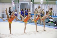 Около 200 юных гимнасток выступили в Новоалександровске, Фото: 15