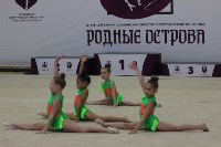 Открытый турнир по эстетической гимнастике прошел в Южно-Сахалинске, Фото: 6
