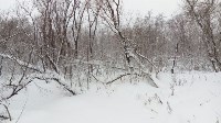 Первый в этом году снежный циклон пришел на юг Сахалина, Фото: 3
