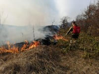 Пожар у села Новоселово, Фото: 4