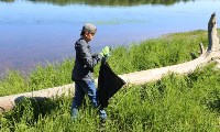 Юные волонтёры очистили от мусора прибрежную зону рек Ноглинка и Тымь , Фото: 8