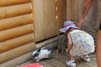 Волонтеры помогают Сахалинскому зоопарку ухаживать за животными, Фото: 2