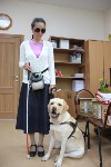 В южно-сахалинской поликлинике впервые появился пациент с собакой-поводырем, Фото: 8
