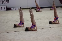 Открытый турнир по эстетической гимнастике прошел в Южно-Сахалинске, Фото: 9