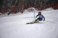 Южносахалинские горнолыжники взяли шесть из восьми медалей областного кубка, Фото: 10