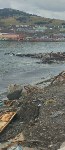 Берега бухты Малокурильской после шторма покрылись рыбьим жиром и мусором, Фото: 3
