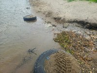 Чистый ручей, Фото: 1