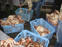 Подпольный цех по переработке морепродуктов ликвидирован в Макаровском районе, Фото: 14
