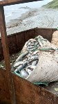 Около 3 тонн лосося изъели у браконьеров сахалинские пограничники, Фото: 3