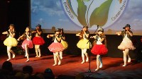 Фестиваль «Зеленый калейдоскоп» завершился на Сахалине, Фото: 43