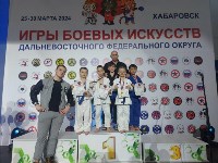 Сахалинцы завоевали 13 медалей дальневосточных соревнований по джиу-джитсу, Фото: 7