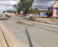 Дерево упало на проезжавший по дороге автомобиль в Южно-Сахалинске, Фото: 4