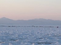 В районе мыса Свободного оторвало льдину с рыбаками, Фото: 3