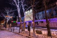 Новогодняя сказка в Южно-Сахалинске, Фото: 23