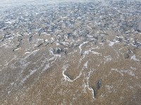 Нерестящаяся мойва выбрасывается на берег в Охотском , Фото: 3