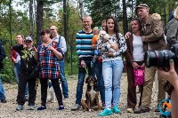 В рамках выставки беспородных собак в Южно-Сахалинске 8 питомцев обрели хозяев, Фото: 212