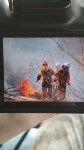 С настоящим огнем боролись на Сахалине во время учений по тушению лесных пожаров , Фото: 3