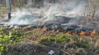 Трава и молодой лес горели в пригороде Южно-Сахалинска, Фото: 1