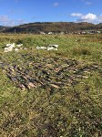 Более 600 кг кеты изъяли пограничники у браконьеров в Корсаковском районе, Фото: 3