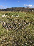 Более 600 кг кеты изъяли пограничники у браконьеров в Корсаковском районе, Фото: 3