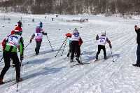 XXIV Троицкий лыжный марафон собрал более 600 участников, Фото: 14