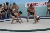 Впервые в истории на Сахалине прошел турнир по борьбе сумо, Фото: 1