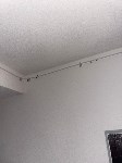 Тараканы заполонили квартиры в подъезде дома в Новоалександровске, Фото: 3