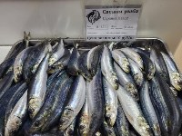 Почти 450 тонн свежевыловленной рыбы по сниженным ценам продали сахалинцам и курильчанам в 2022 году, Фото: 4