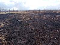 Горящую траву потушили на окраине Южно-Сахалинска, Фото: 3