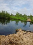 Нефтяное озеро появилось на севере Сахалина, Фото: 2